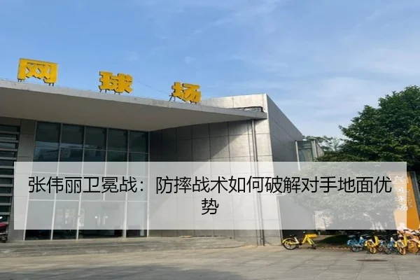 zhang-wei-li-wei-mian-zhan-fang-shuai-zhan-shu-ru-he-po-jie-dui-shou-di-mian-you-shi-2-727.jpg