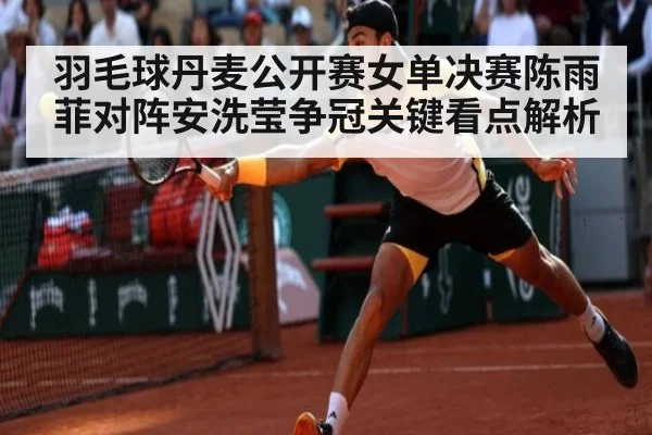 羽毛球丹麦公开赛女单决赛陈雨菲对阵安洗莹争冠关键看点解析